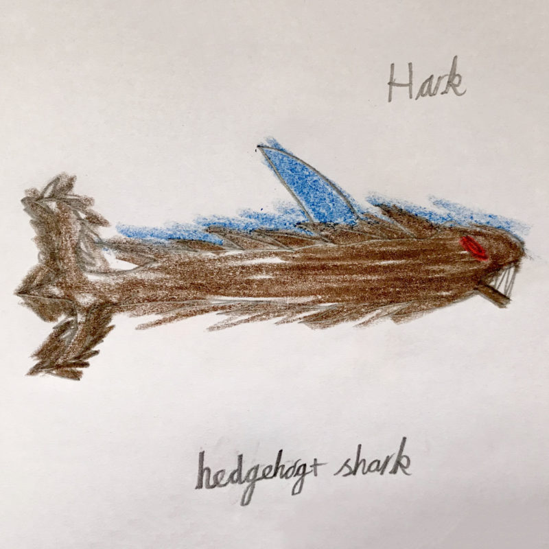 Hark by Alexandru, Age 7.